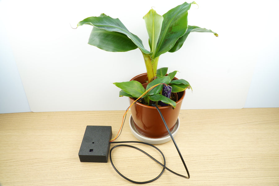 Plant Watcher: The Last Plant-Growing Buddy You'll Ever Need