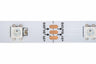 Addressable RGB LED strip ws2812 30LED/m 5V IP20